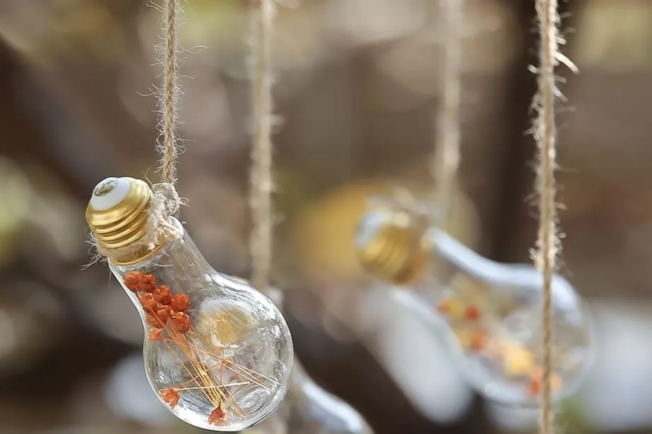 유치원 봄 소풍 야외 촬영